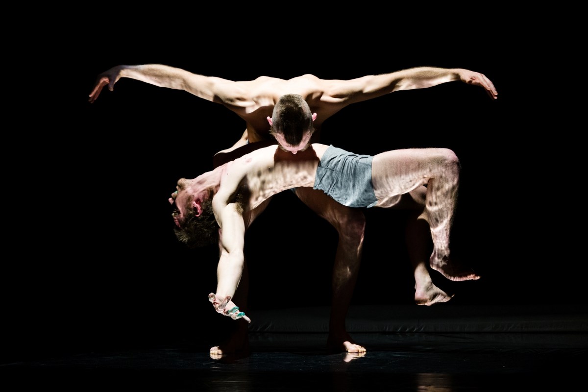 Overhead Project, Carnival of the Body, 2016 © Till Böcker