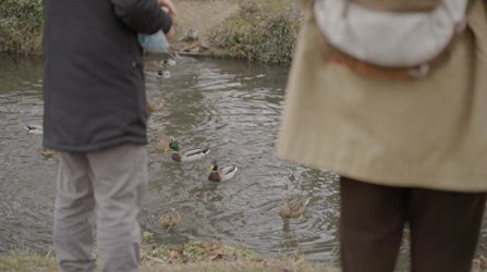 © Duck Performance, Photo by Liam Dunning