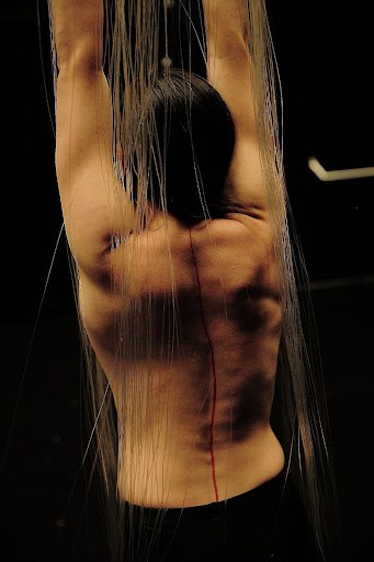 #SPINE © Ivan Marenić